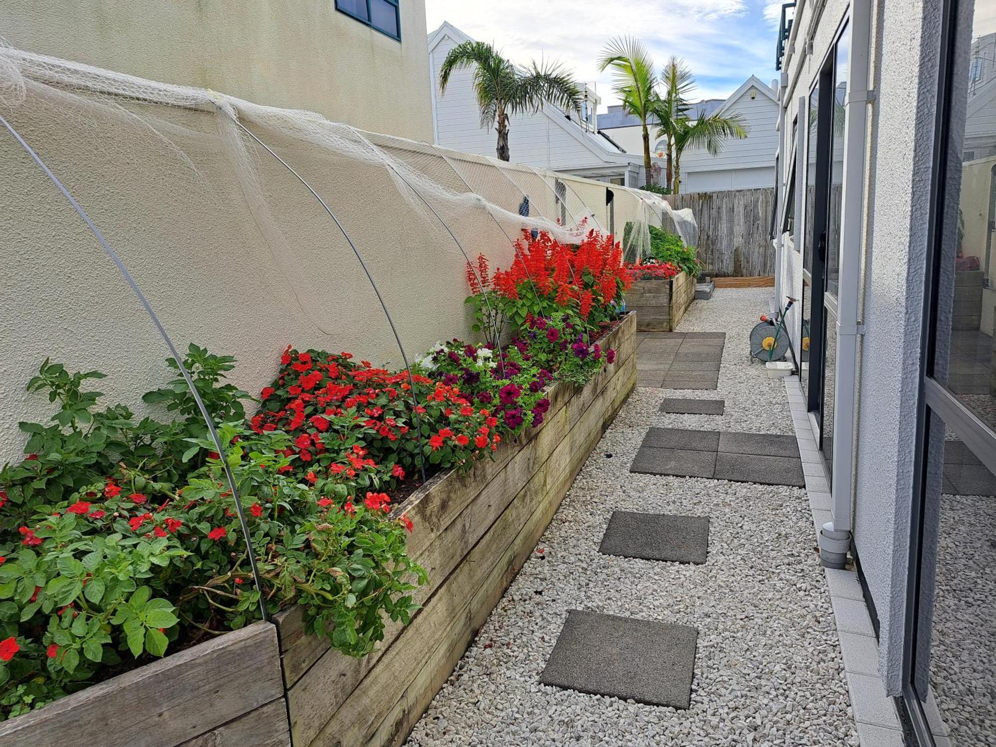 Sunbrae Beach Sanctuary Free High Fibre Wifi Mount Maunganui Exterior photo